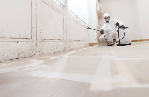 24/7 Emergency Mold Removal experts in Somerset, KY
