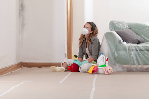 Reliable Mold Removal contractor in Somerset, KY by 24 Hour Mold Removal